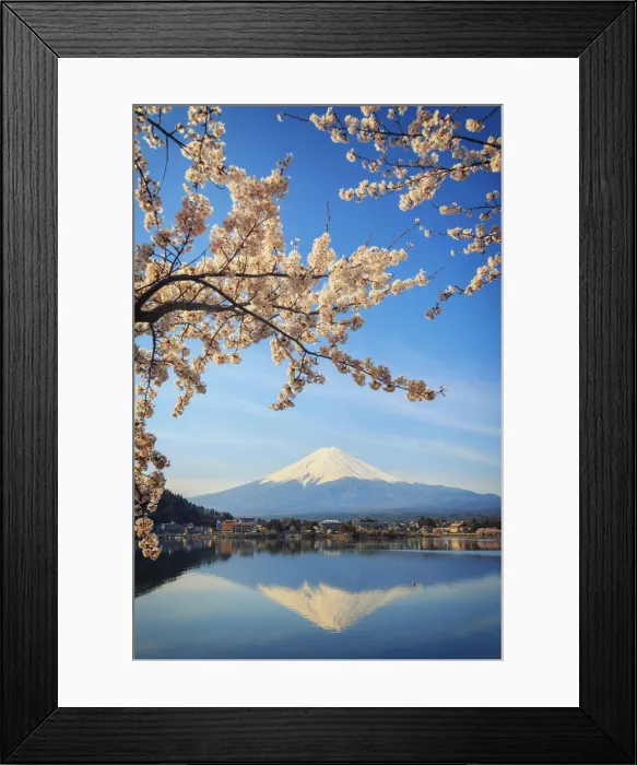 Framed Print : Japan, Yamanashi Prefecture, Kawaguchi-ko Lake, Mt Fuji and Cherry Blossoms Framed Print : Japan, Yamanashi Prefecture, Kawaguchi-ko Lake, Mt Fuji and Cherry Blossoms