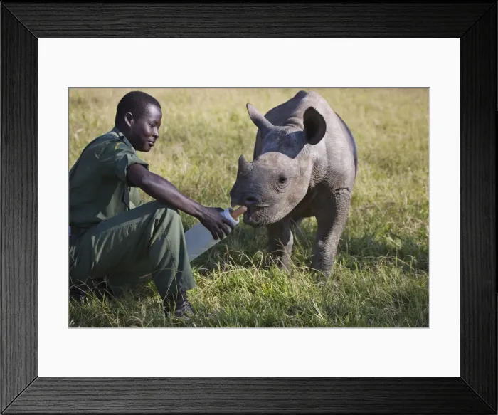 Framed Print : Baby Rhino, Lewa Wildlife Conservancy, Kenya