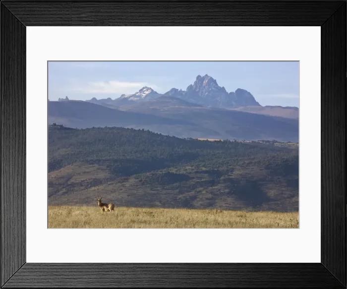 Framed Print : Heartbeest and Mt. Kenya, Lewa Wildlife Conservancy, Kenya Framed Print : Heartbeest and Mt. Kenya, Lewa Wildlife Conservancy, Kenya