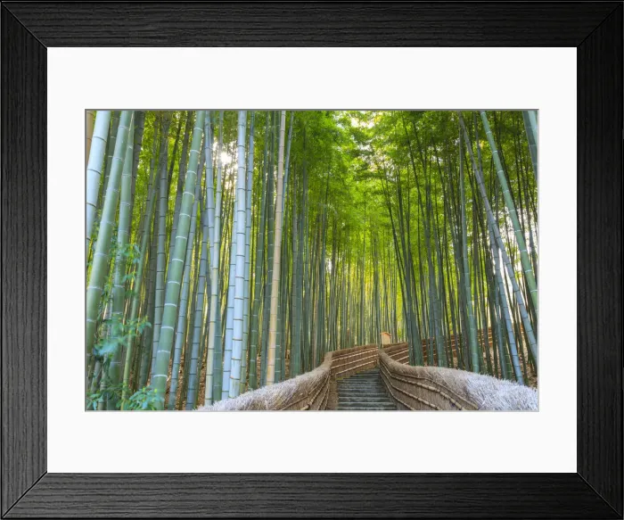 Framed Print : Japan, Kyoto, Arashiyama, Adashino Nembutsu-ji Temple, Bamboo Forest Framed Print : Japan, Kyoto, Arashiyama, Adashino Nembutsu-ji Temple, Bamboo Forest