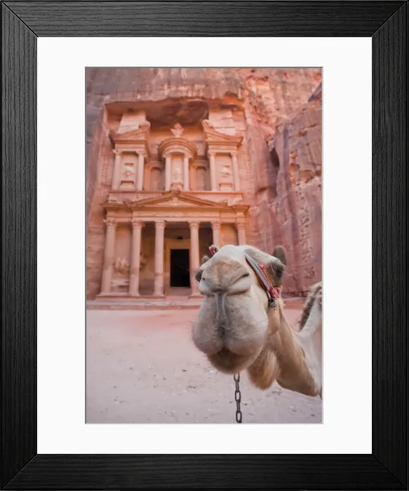Framed Print : The Treasury (Al Khazneh), Petra (UNESCO world heritage site), Jordan Framed Print : The Treasury (Al Khazneh), Petra (UNESCO world heritage site), Jordan