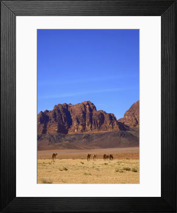 Framed Print : Jebel Qattar, Wadi Rum, Jordan, Middle East Framed Print : Jebel Qattar, Wadi Rum, Jordan, Middle East