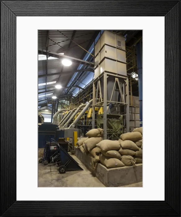 Framed Print : Coffee Processing Plant, Marley Coffee, Kingston, St. Andrew Parish, Jamaica, Caribbean Framed Print : Coffee Processing Plant, Marley Coffee, Kingston, St. Andrew Parish, Jamaica, Caribbean