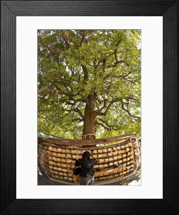 Framed Print : Prayer tablets (Ema), Meiji Shrine, Yoyogi Park, Tokyo, Japan Framed Print : Prayer tablets (Ema), Meiji Shrine, Yoyogi Park, Tokyo, Japan