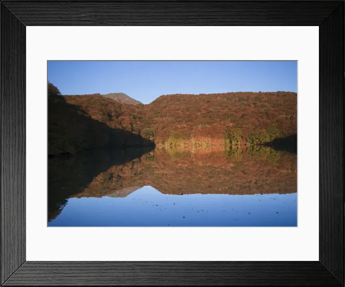 Framed Print : Japan, Hokkaido Island, Tohoku, Aomori, Towada Lake, Tsutanuma Pond