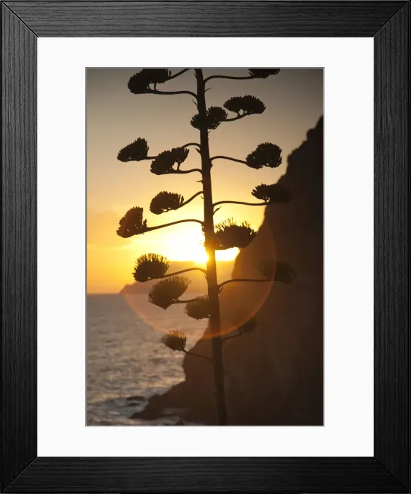 Framed Print : Via Dell Amore (between Manarola and Riomaggiore), Cinque Terre, Riviera di Levante Framed Print : Via Dell Amore (between Manarola and Riomaggiore), Cinque Terre, Riviera di Levante