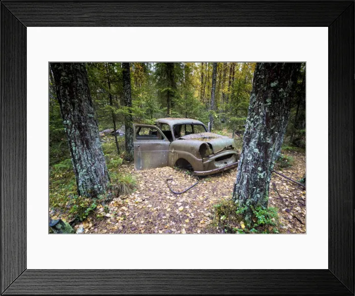Framed Print : Southern Sweden, Northern Europe. Abandoned cars at Kyrko Mosse junkyard Framed Print : Southern Sweden, Northern Europe. Abandoned cars at Kyrko Mosse junkyard
