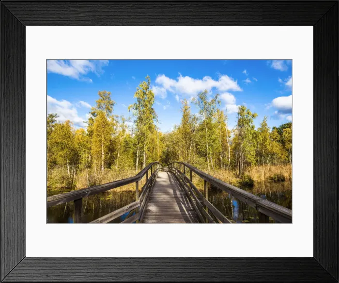 Framed Print : Jonkoping, Sweden. Nature reserve Framed Print : Jonkoping, Sweden. Nature reserve