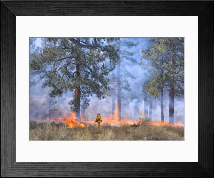 Framed Print : Prescribed burn near Bend, Oregon, USA MR