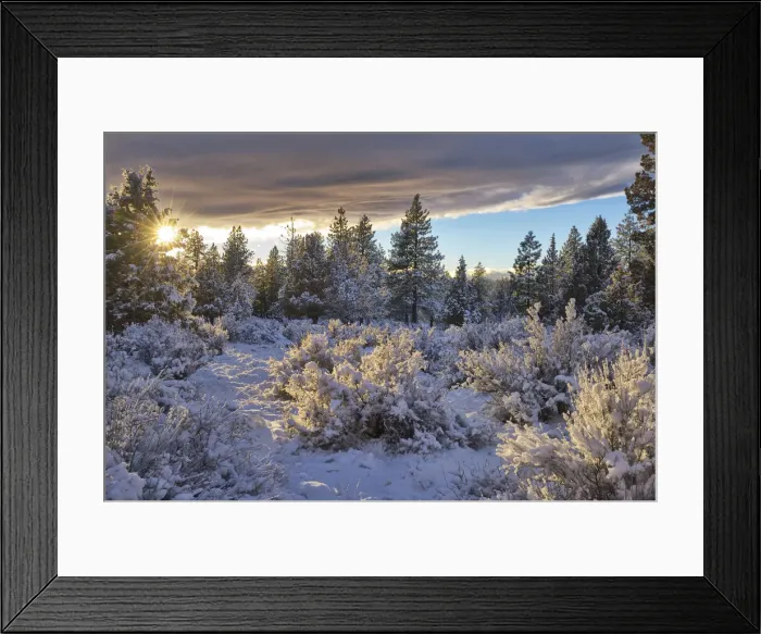 Framed Print : USA, Bend, Oregon, High desert in winter snow Framed Print : USA, Bend, Oregon, High desert in winter snow