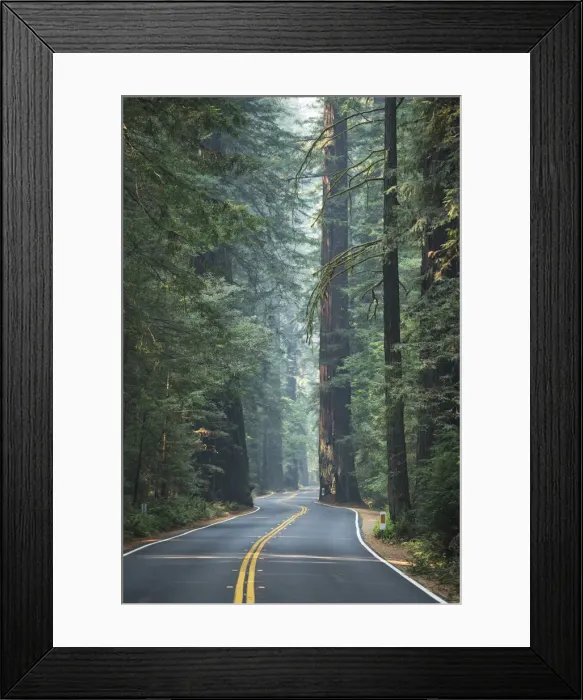 Framed Print : USA, California, West Coast, Avenue of Giants, Road through the forest of Redwoods Framed Print : USA, California, West Coast, Avenue of Giants, Road through the forest of Redwoods