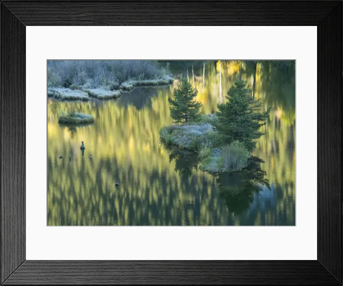 Framed Print : USA, Colorado, Rocky Mountains, Aspen, Pond at dawn near Aspen Framed Print : USA, Colorado, Rocky Mountains, Aspen, Pond at dawn near Aspen