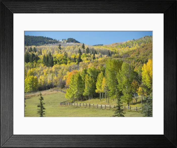 Framed Print : USA, Colorado, Rocky Mountains, Aspen Framed Print : USA, Colorado, Rocky Mountains, Aspen