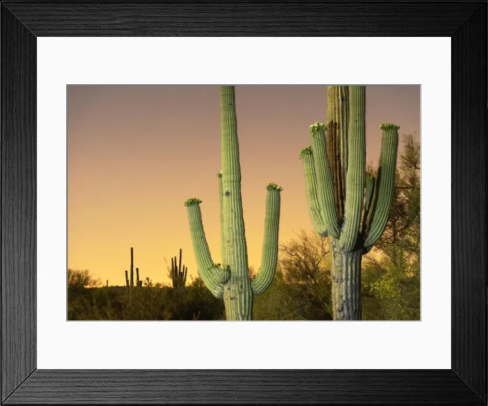 Framed Print : USA, Arizona, Phoenix, light pollution outside of Phoenix Framed Print : USA, Arizona, Phoenix, light pollution outside of Phoenix