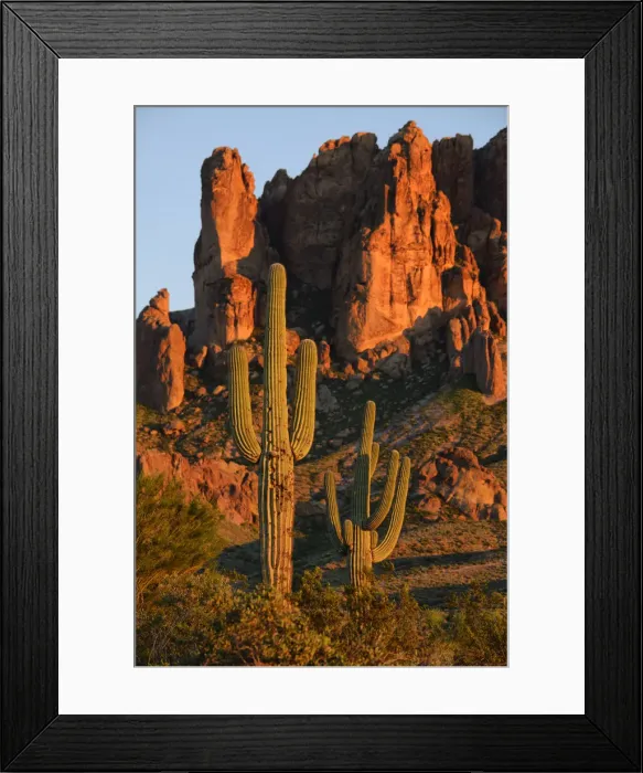 Framed Print : USA, Arizona, Southwest, Apache Junction, Lost Dutchman State Park, Superstition mountains Framed Print : USA, Arizona, Southwest, Apache Junction, Lost Dutchman State Park, Superstition mountains