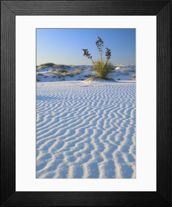Framed Print : USA, Southwest; New Mexico, Otero County, Alamogordo, White Sands National Monument Framed Print : USA, Southwest; New Mexico, Otero County, Alamogordo, White Sands National Monument