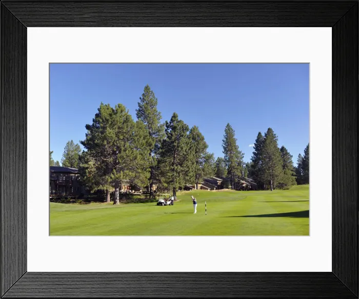 Framed Print : Woman playing golf, Widgi Creek Golf course, Bend, Oregon, USA MR Framed Print : Woman playing golf, Widgi Creek Golf course, Bend, Oregon, USA MR