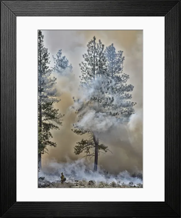Framed Print : USA, Oregon, Bend, Forest fire Framed Print : USA, Oregon, Bend, Forest fire