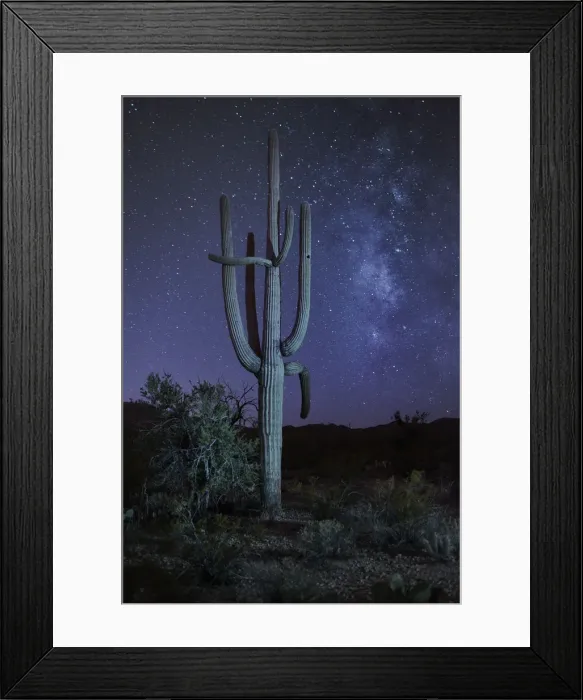 Framed Print : USA, Arizona, Tucson, Saguaro National Park, Cactus with milky way at night Framed Print : USA, Arizona, Tucson, Saguaro National Park, Cactus with milky way at night
