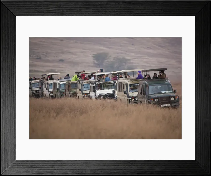 Framed Print : Safari tourists watching game on the Serengeti in Tanzania Framed Print : Safari tourists watching game on the Serengeti in Tanzania