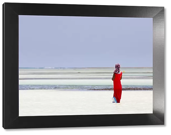 Tanzania, Zanzibar, Unguja, Pongwe. A lady looks out to sea