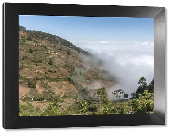 Africa, Tanzania, Usambara Mountains. During a hike in the rural area of Mambo