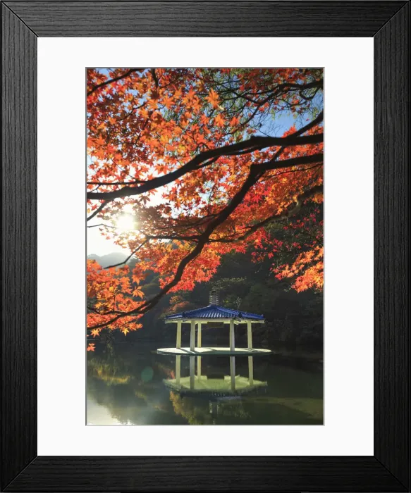 Framed Print : South Korea, Jeolla Do, Naejangsan National Park, Naejangsan Pond and Wuhwajeong Pavillion Framed Print : South Korea, Jeolla Do, Naejangsan National Park, Naejangsan Pond and Wuhwajeong Pavillion
