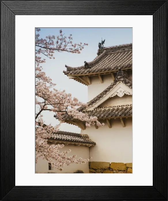 Framed Print : Asia, Japan, Honshu, Kansai Region, Himeji, Hemeji Castle, Hemeji-jo also known as Framed Print : Asia, Japan, Honshu, Kansai Region, Himeji, Hemeji Castle, Hemeji-jo also known as