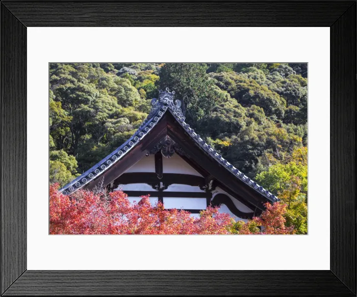 Framed Print : Japan, Kyoto, Eikando Temple Framed Print : Japan, Kyoto, Eikando Temple