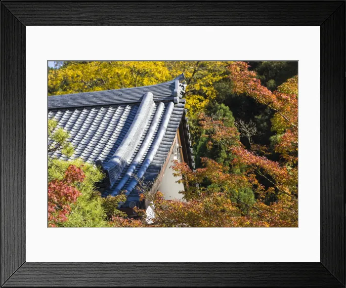 Framed Print : Japan, Kyoto, Eikando Temple Framed Print : Japan, Kyoto, Eikando Temple