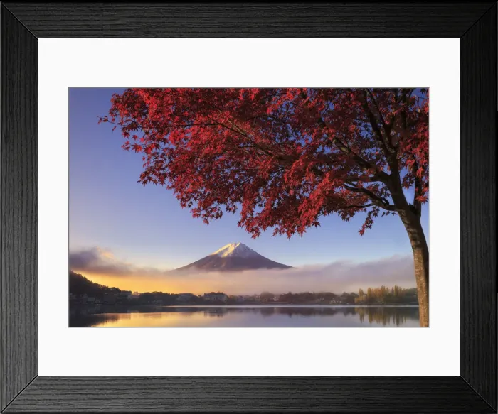 Framed Print : Japan, Fuji - Hakone - Izu National Park, Mt Fuji and Kawaguchi Ko Lake Framed Print : Japan, Fuji - Hakone - Izu National Park, Mt Fuji and Kawaguchi Ko Lake