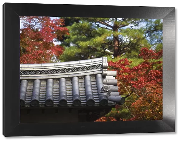 Japan, Kyoto, Arashiyama, Nison -In Temple, Roof top and Autumn foliage