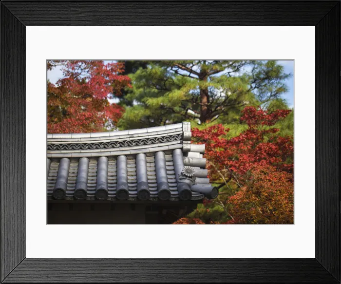 Framed Print : Japan, Kyoto, Arashiyama, Nison -In Temple, Roof top and Autumn foliage Framed Print : Japan, Kyoto, Arashiyama, Nison -In Temple, Roof top and Autumn foliage