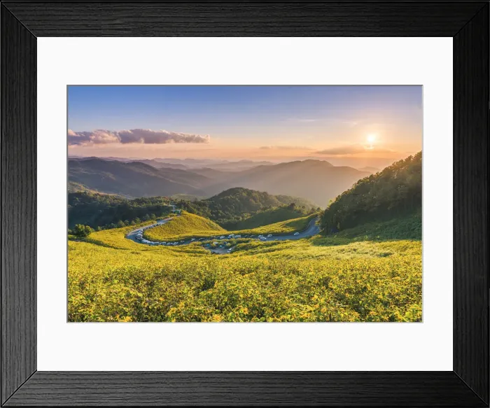 Framed Print : The famous mexican sunflowers blooming, Khun Yuam, Mae Hong Son, Thailand Framed Print : The famous mexican sunflowers blooming, Khun Yuam, Mae Hong Son, Thailand