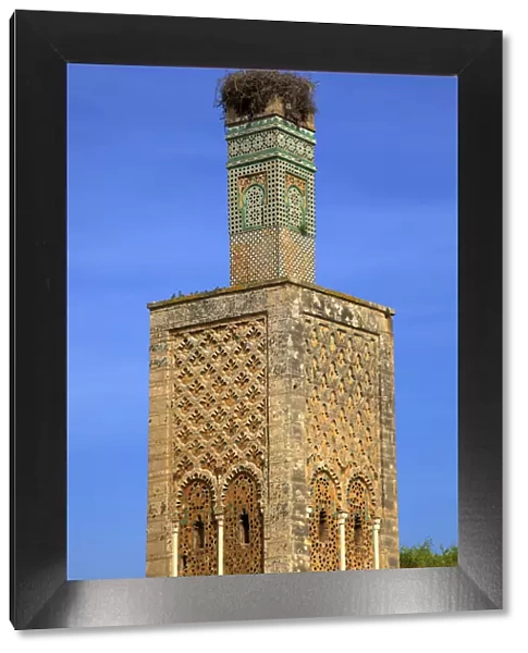 Details of The Minaret with Nesting Stork at The Ruins of Chellah, Rabat, Morocco