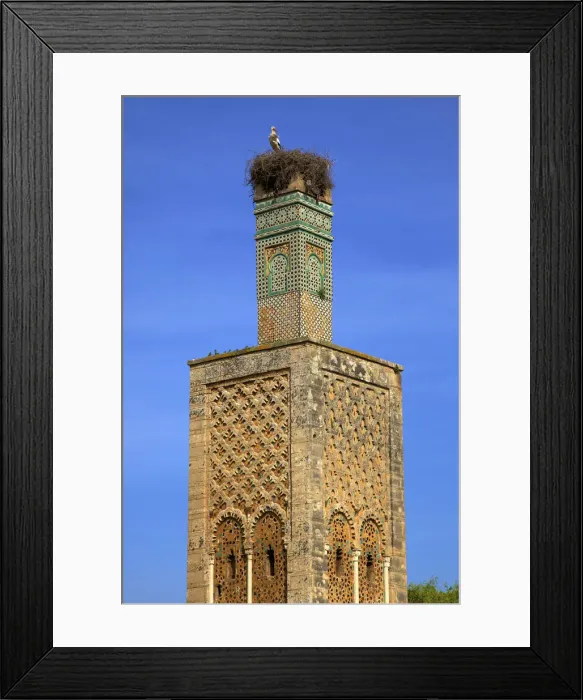 Framed Print : Details of The Minaret with Nesting Stork at The Ruins of Chellah, Rabat, Morocco Framed Print : Details of The Minaret with Nesting Stork at The Ruins of Chellah, Rabat, Morocco