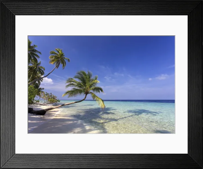 Framed Print : Maldives, Faafu Atoll, Filitheyo Island Framed Print : Maldives, Faafu Atoll, Filitheyo Island