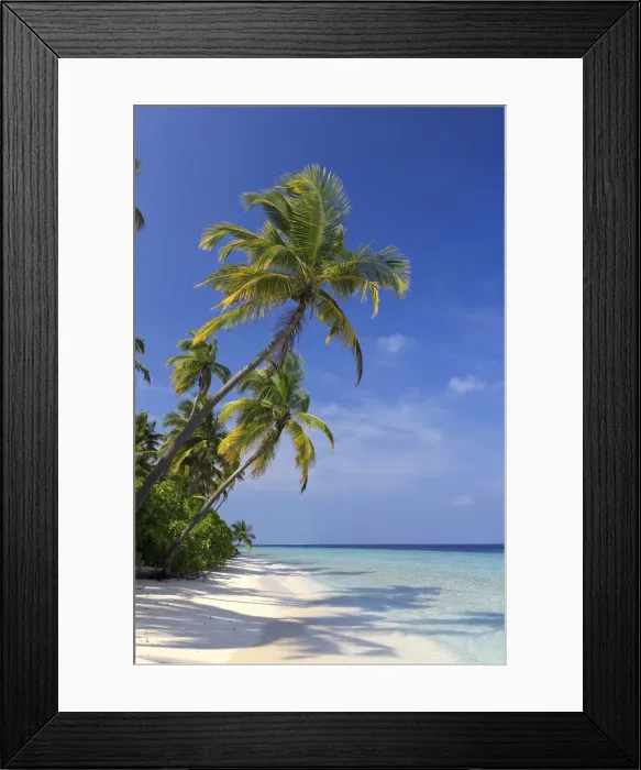 Framed Print : Maldives, Faafu Atoll, Filitheyo Island