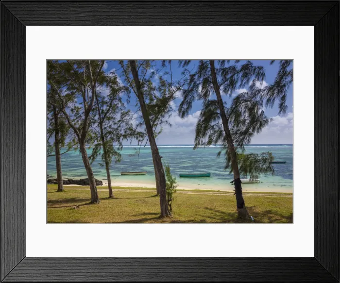 Framed Print : Palmar beach and Casuarina Trees, Flacq, East Coast, Mauritius Framed Print : Palmar beach and Casuarina Trees, Flacq, East Coast, Mauritius