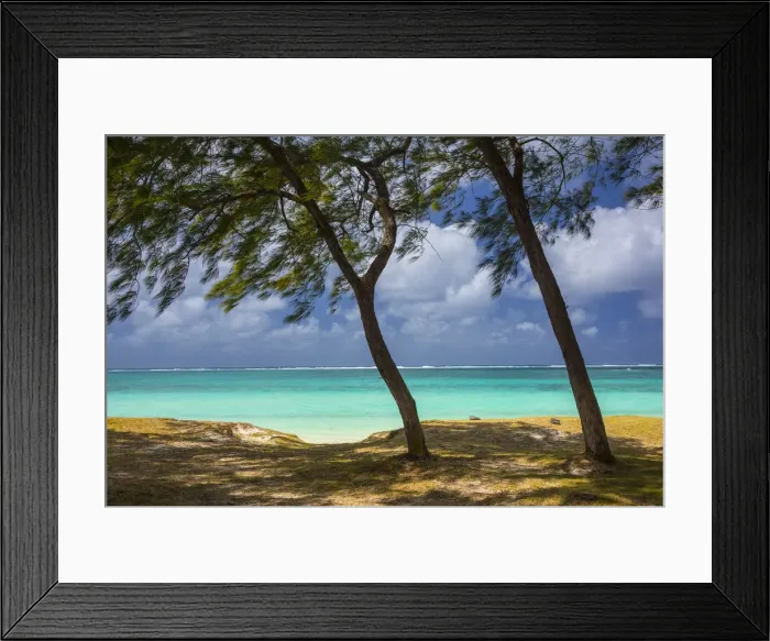Framed Print : Beach and Casuarina Trees, Flacq district, East Coast, Mauritius Framed Print : Beach and Casuarina Trees, Flacq district, East Coast, Mauritius