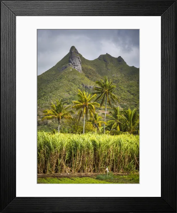 Framed Print : Grand Port district, East Coast, Mauritius Framed Print : Grand Port district, East Coast, Mauritius