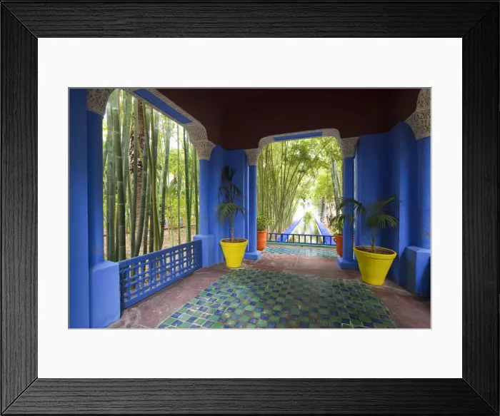 Framed Print : Majorelle Gardens, Marrakesh, Morocco, North Africa Framed Print : Majorelle Gardens, Marrakesh, Morocco, North Africa