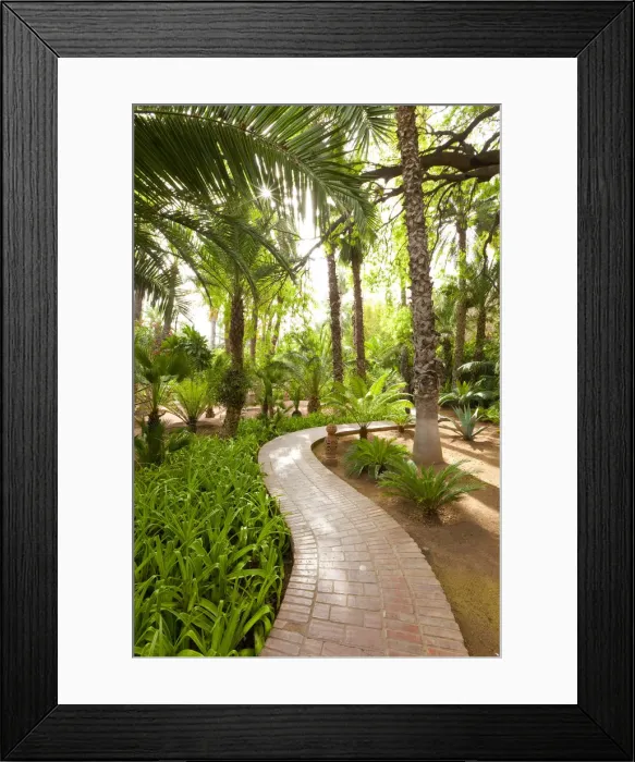 Framed Print : Majorelle Gardens, Marrakesh, Morocco, North Africa Framed Print : Majorelle Gardens, Marrakesh, Morocco, North Africa