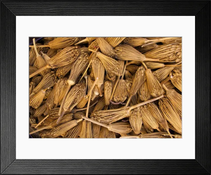 Framed Print : Marrakech, Morocco, North Africa Framed Print : Marrakech, Morocco, North Africa