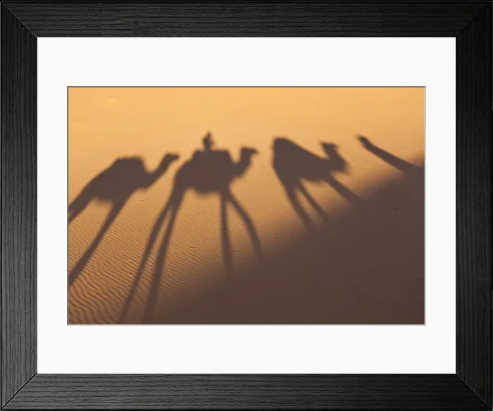 Framed Print : Camel train shadows, Erg Chebbi, Sahara Desert, Morocco Framed Print : Camel train shadows, Erg Chebbi, Sahara Desert, Morocco