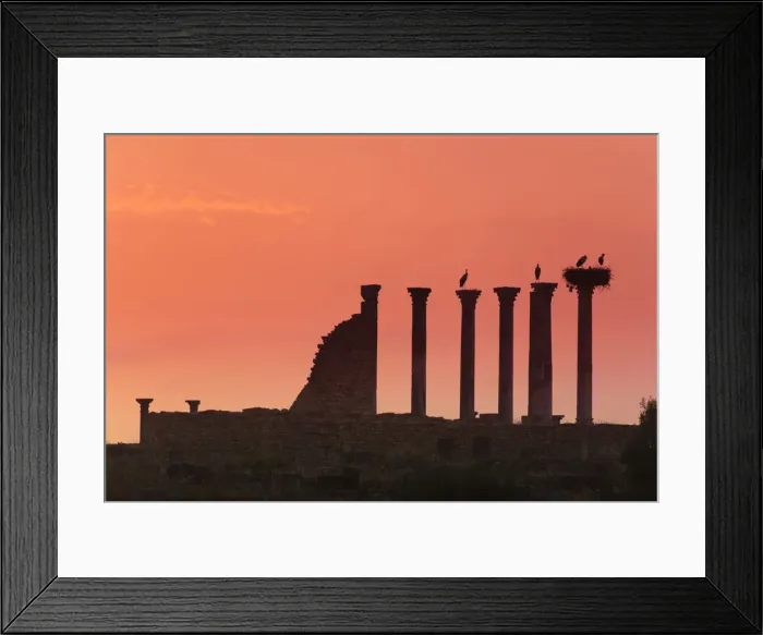 Framed Print : Morocco, Volubilis Archeological Site, Roman Ruins Framed Print : Morocco, Volubilis Archeological Site, Roman Ruins