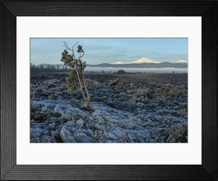 Framed Print : USA, Oregon, Central Oregon, Cascade Mountains, Lavalands, Newberry National Volcanic Framed Print : USA, Oregon, Central Oregon, Cascade Mountains, Lavalands, Newberry National Volcanic