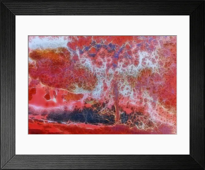 Framed Print : USA, Nevada, Tonopah, close up of a rusty car