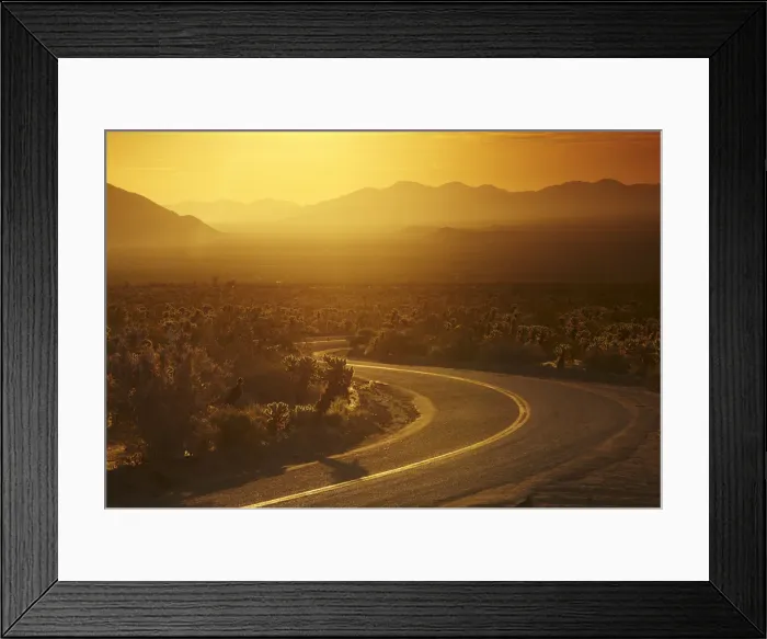 Framed Print : Road winding through Joshua Tree National Park, California, USA Framed Print : Road winding through Joshua Tree National Park, California, USA