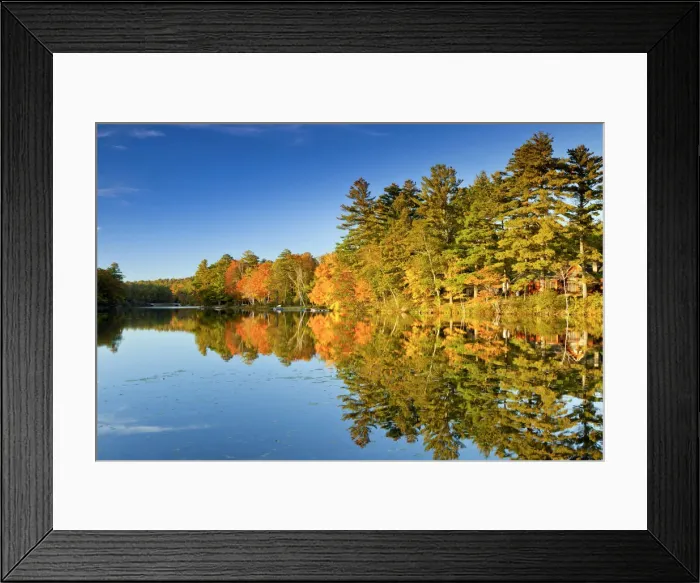 Framed Print : Megunticook Lake in Autumn, Camden, Maine, USA Framed Print : Megunticook Lake in Autumn, Camden, Maine, USA